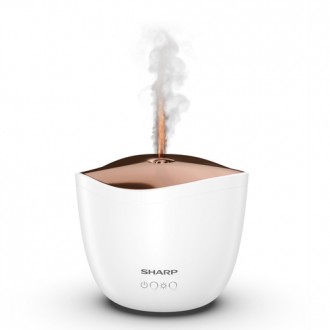 Sharp DF-A1E-W diffusore di aromi Cisterna Plastica Oro, Bianco - (Sharp DF-A1E-W diffusore di aromi Cisterna Plastica Oro, Bian